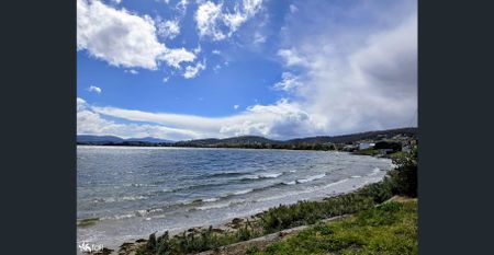 Stunning Newly Renovated Family Home - Walk to the Beach - Photo 5