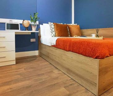 Premium Accessible Studio - Photo 6