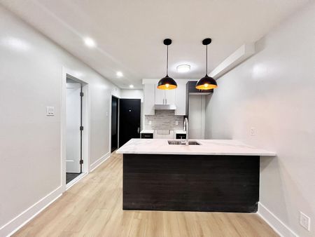 1085 Mistral, Montréal, QC - Photo 2