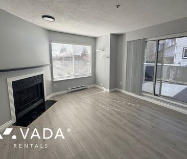 Unfurnished, Pet Friendly, 1 Bed 1 Bath Apartment For Rent - Photo 2