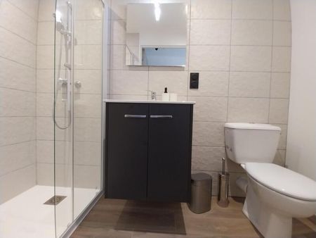 Location Appartement 1 pièce 18m² ORLEANS 45000 - Photo 4