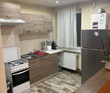 Apartament 2 camere, Bd. Independentei, Universitatea de Nord - Photo 5