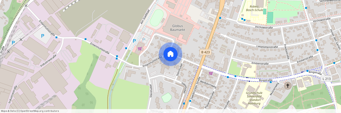 Entenmühlstraße 16, 66424 Homburg