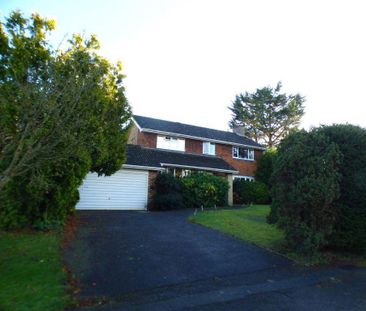 4 bedroom house to rent - Photo 1