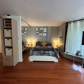 Bachelor Fully Furnished -pet friendly - Photo 4