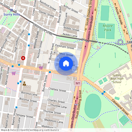 33 Ridge Street, NSW 2010, Surry Hills