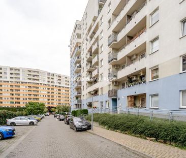 Mieszkanie Kraków Mistrzejowice powierzchnia 43.0 m² C206-WM-54758 - Photo 3
