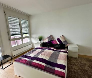 2-ROOM APARTMENT IN LANGWIESEN (ZH), FURNISHED, TEMPORARY - Foto 6