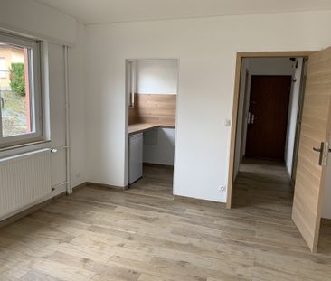 Location Appartement 2 pièces 36m² SARREGUEMINES 57200 - Photo 4