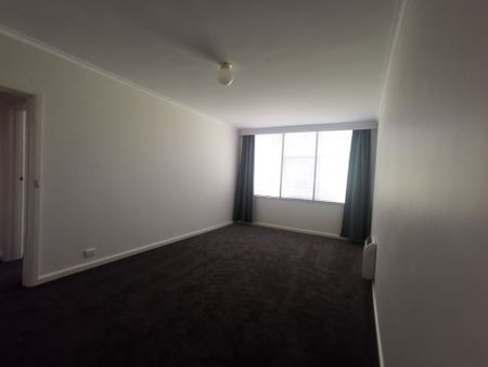 Great apartment in south yarra - Photo 3