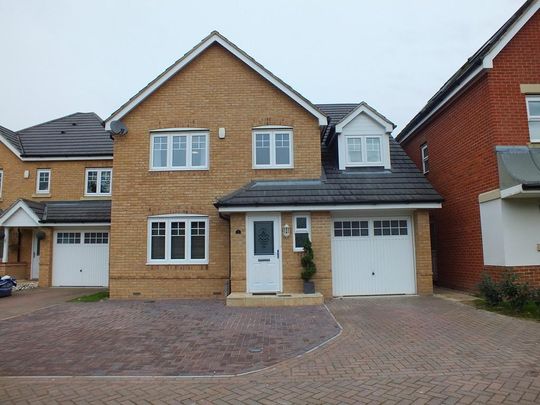1 bedroom in a house share to rent - Photo 1