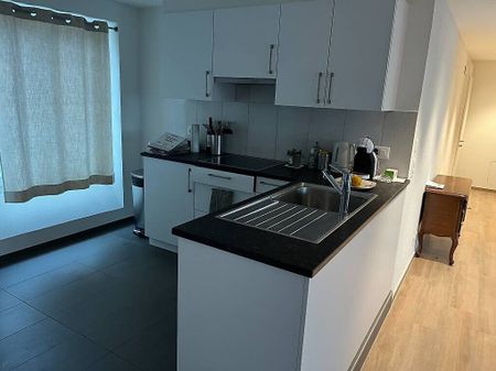 Rental agreement 3 minutes from the train station and Lake Lausanne - Photo 5