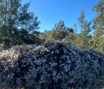 Cranebrook - Photo 3