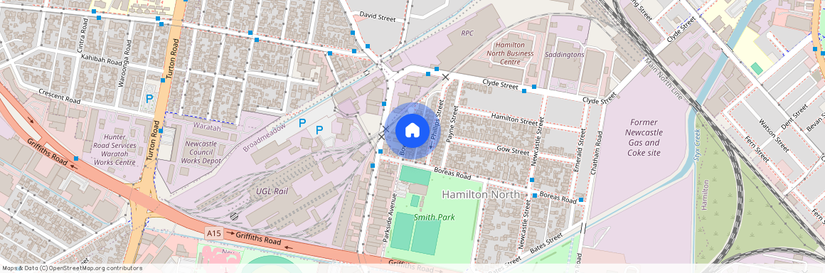 17 Bowser Street, NSW 2292, Hamilton North