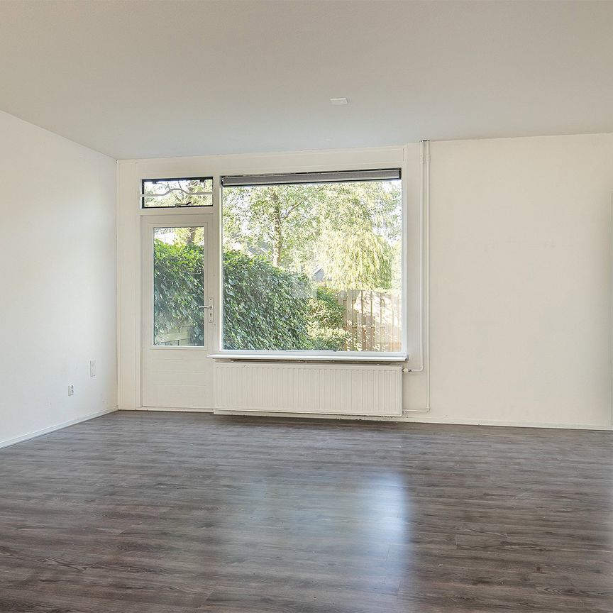 Rumpler, 6, Soesterberg - Photo 1