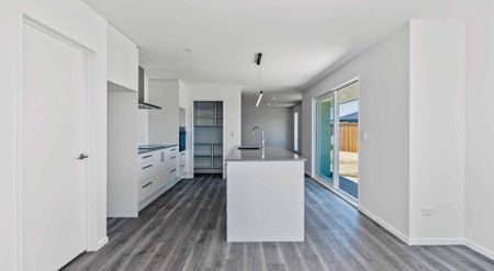 BRAND NEW! A Touch of Luxury in Falcon's Landing - Photo 4