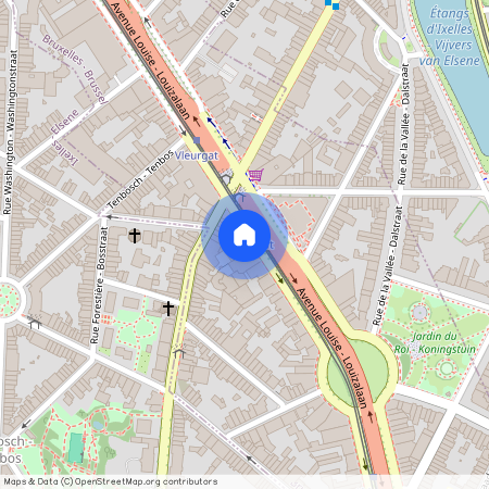 Avenue Louise - Louizalaan, 317, 1050, Bruxelles