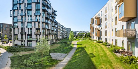 Lyse og lækre lejeboliger med udsigt i Broloftet - Photo 3