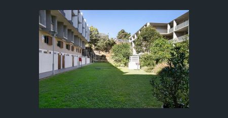 Huge indoor/outdoor open plan living - Photo 5