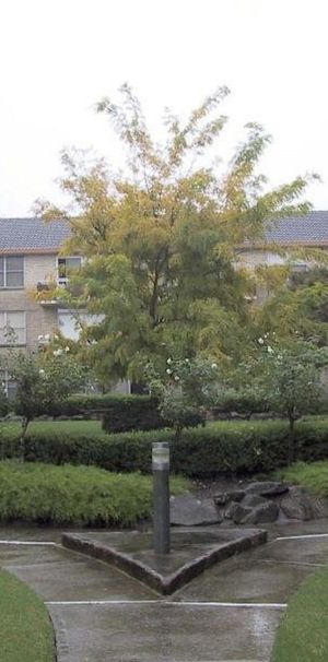 26/11-17 Church Street, Ryde NSW 2112 - Apartment For Rent | Domain - Photo 2