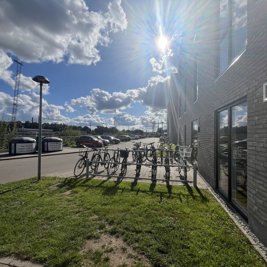 Forchhammersvej 9D, 1. 4. , 9000 Aalborg - Foto 1