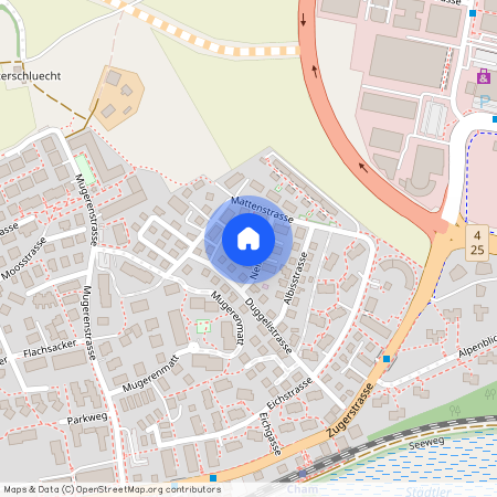 Nelkenweg 3, 6330, Cham