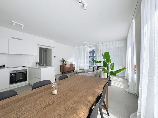 Furnished 3 bedroom apartment for rent - Photo 1