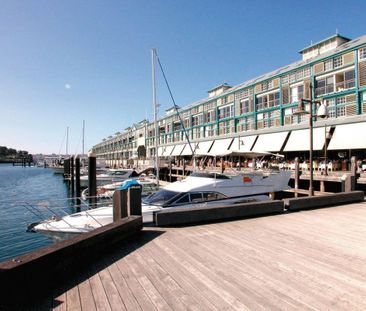 45/6 Cowper Wharf Road, Woolloomooloo NSW 2011 - House For Rent | D... - Photo 1