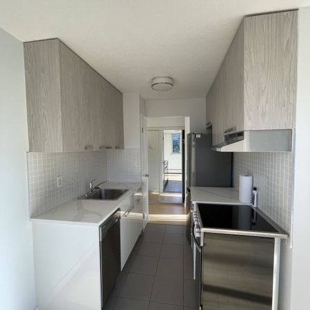 Camelia Court - Photo 4