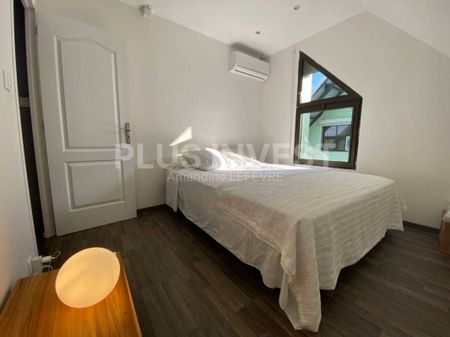 Duplex/Triplex - Photo 2