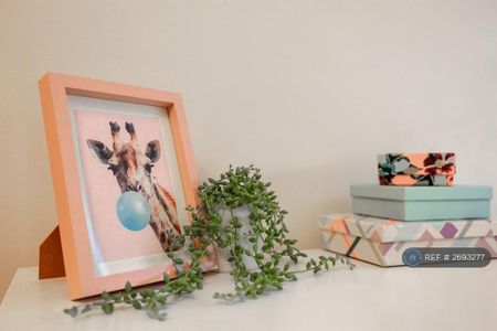 7 bedroom flat to rent - Photo 4