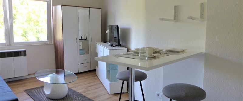 Aachen-City; Ruhiges, möbl. 1 Zi-App. mit Aussicht auf Stadtgarten - Foto 1
