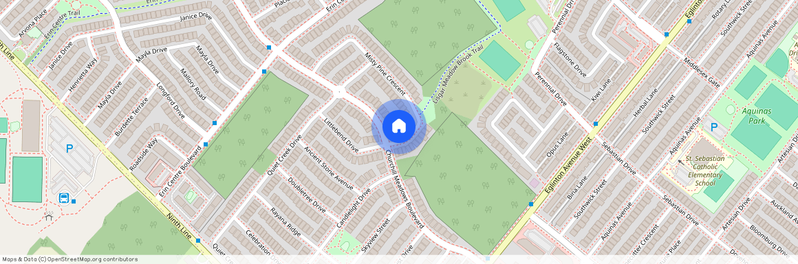 5118 Misty Pine Crescent Unit# Lower, Mississauga