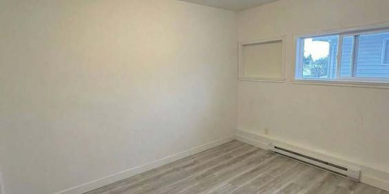 !À Louer : Magnifique 3 ½ – Disponible - Photo 3