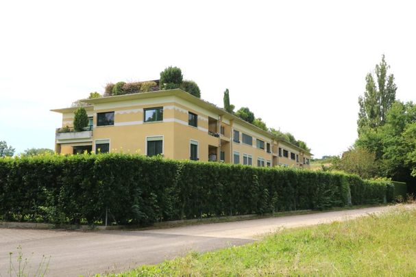 Appartement de 6 pièces avec balcons et rooftop à Chêne-Bourg - Photo 1