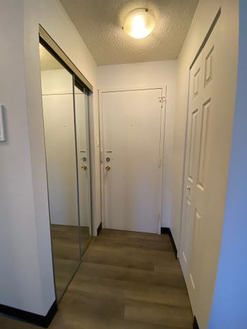 1 Bedroom Lower-Level Suite in Bankview – Available Immediately - Photo 4