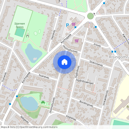 Holmehusvej 67 1. th, 5000 Odense C