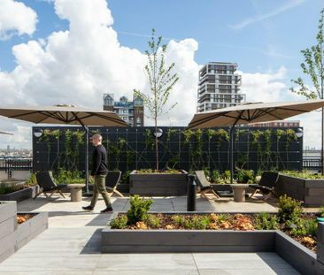 Studio to rent - Photo 3