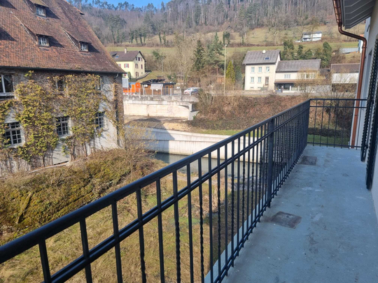 Erstvermietung nach Totalsanierung: wohnen mit Sicht auf die Birs - Foto 1