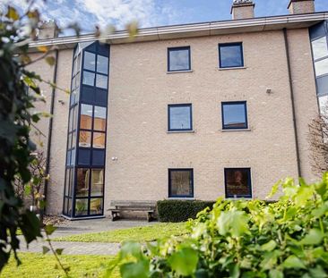 Ruime assistentiewoning met 1 slaapkamer te huur in Aartrijke Zedelgem - Foto 6