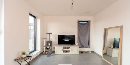 Appartement te huur in Wondelgem voor € 1.020 met 2 slaapkamers - Photo 2