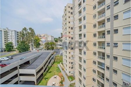 REMAX ALUGA Apartamento no Jardim Nova Europa, Campinas. - Photo 3