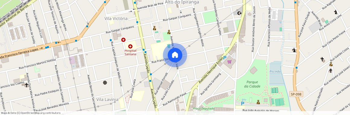 Rua Franz Steiner, Alto Ipiranga, Mogi das Cruzes