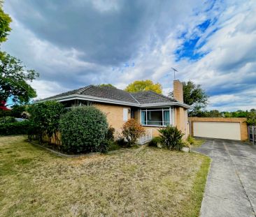 89 Hill Road, Balwyn North, Melbourne - Photo 4