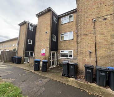 Ladyshot, Harlow - Photo 1