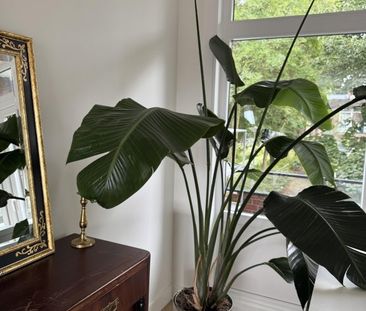 Te huur: Appartement Pasteursingel in Rotterdam - Foto 3