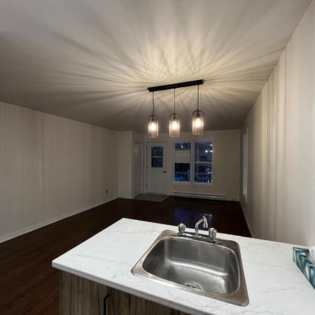 Beau 4 1/2 à Sutton rénové - Photo 4