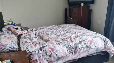 Cute, Cosy & Close to Town - Photo 5