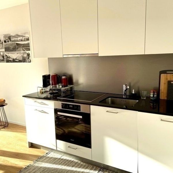 APPARTEMENT 2 PIÈCES À BÂLE - ISELIN, MEUBLÉ, TEMPORAIRE - Photo 1