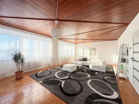 Pronájem, byt 2+1 v rodinném domě, balkon, Horka nad Moravou - Fotografie 2